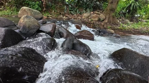 River with Rocks, Flowing Water and Sun Reflection Stock Footage 315953750
