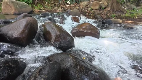 River with Rocks, Flowing Water and Sun Reflection Stock Footage 315953753