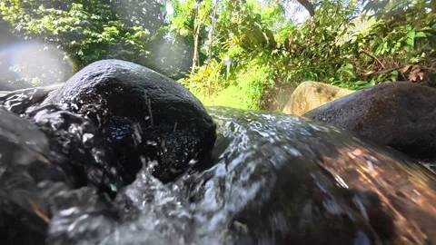 River with Rocks, Flowing Water and Sun Reflection Stock Footage 315953832