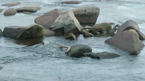 River rocks Stock-Footage 11019916