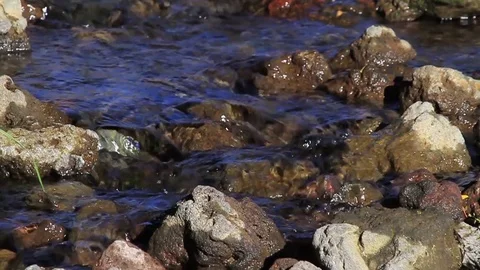River rocks Stock Footage 77048834