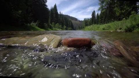 River Rocks Stock Footage 83130155
