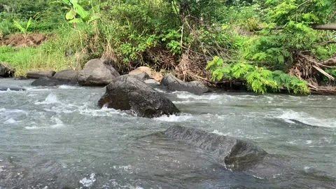 River with rocks Stock Footage 220777158