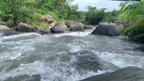 River with rocks Stock Footage 220777286
