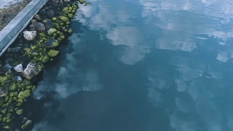 River rocks with green algae Stock Footage 103284100