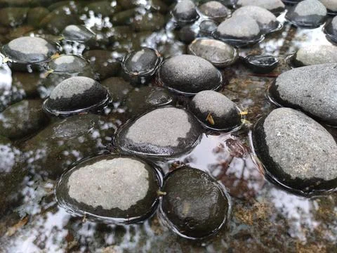 River rocks 写真素材