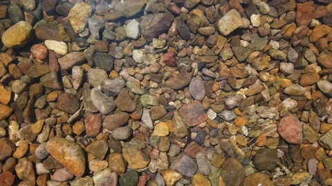 River rocks under water with reflections Stock Footage 106116279
