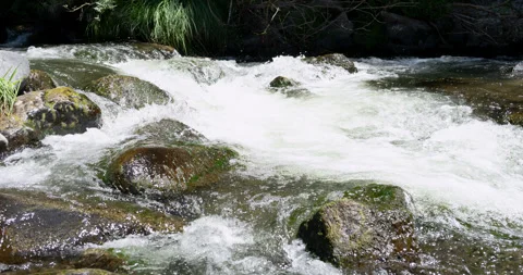River Rocks Water Flow Timelapse Stock Footage 248537743