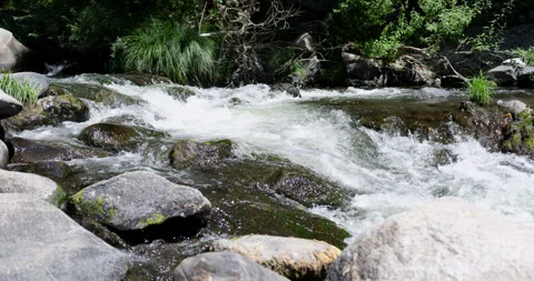 River Rocks Water Flow Timelapse Stock Footage 248537975