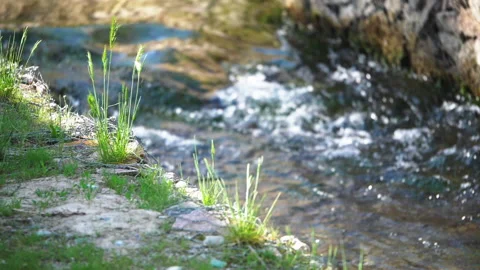 A river in a rocky area Stock Footage 194639011