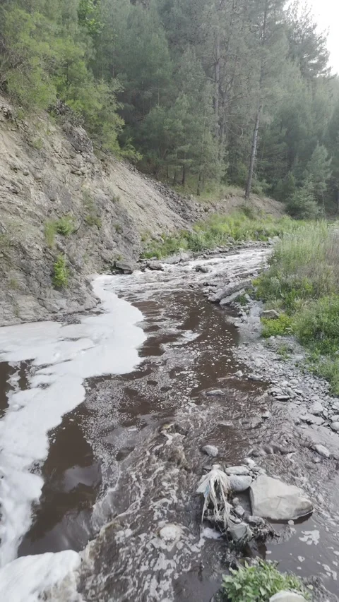 River rocky gorge foam Stock Footage 311993117