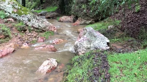 River Rolling Downstream 4K B-roll Stock Footage 232802224