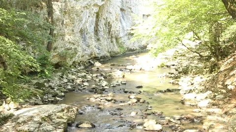 River in Romania Video stock 146924222