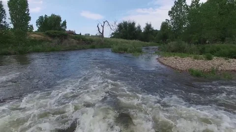 River Run Super low through bush 4K Stock Footage 78260009