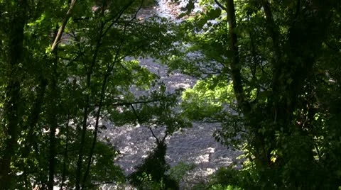 River running beneath the trees wide shot Stock Footage 20494461