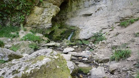 River running from a cave Video stock 77848456