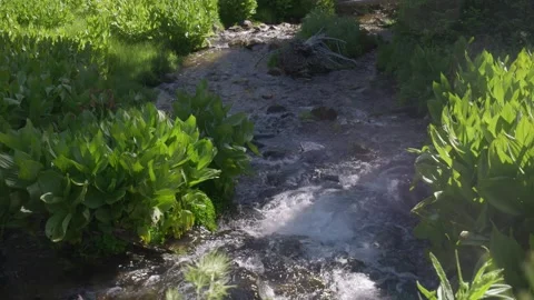 River running down hill Video stock 246874326