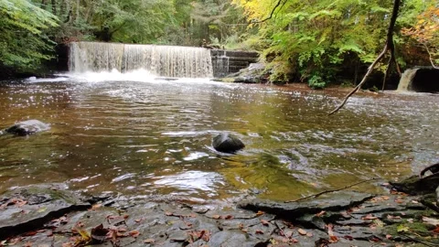 River running down a waterfall in the autumn 動画素材 141947044