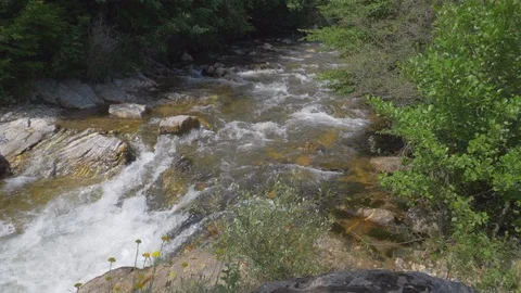 The river is running fast. Beautiful View Video stock 111417945