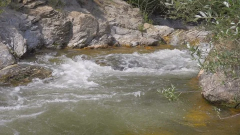 The river is running fast. Beautiful View Video stock 111418018