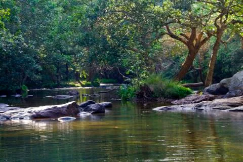 River running in Forest Stock Photos