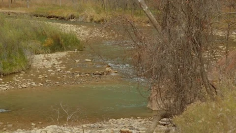 River running low Stock Footage 265494817
