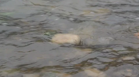 River running over a stone Vídeos de archivo 34411615