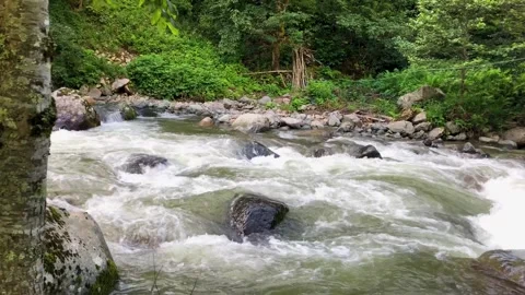 River running through Black Sea Karadeniz region in Turkey. Stock Footage 259409579