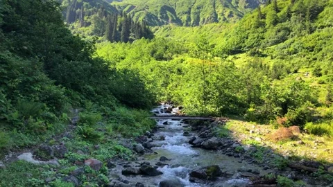 River running through Black Sea Karadeniz region in Turkey. Stock Footage 259409852