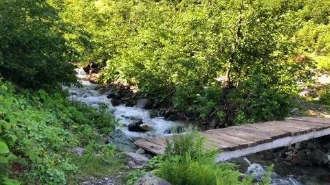 River running through Black Sea Karadeniz region in Turkey. Stock Footage 259409946