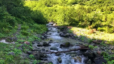 River running through Black Sea Karadeniz region in Turkey. Stock Footage 259410147