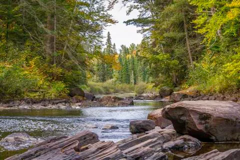 River Running Through a Forest in Early Fall Stock Photos
