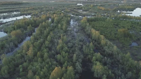 A river running through a forest filled with trees water surrounded by landforms Stock Footage 196949562