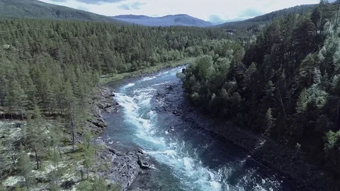 River running through forest Stock Footage 78247623