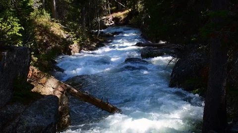 River running through a forest Stock Footage 128154287