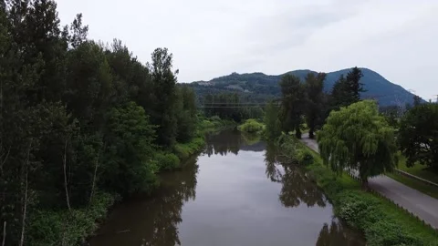 A river running through a forest Stock Footage 156481341