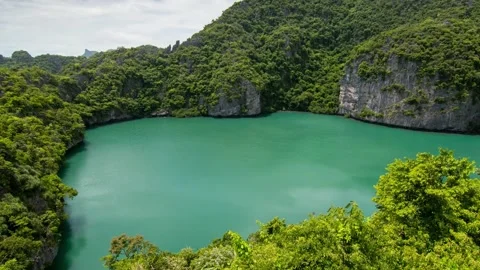 A river running through a forest 库存影片 156843911