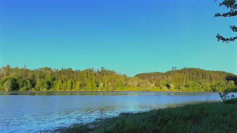 A river running through a forest Stock Footage 278267327