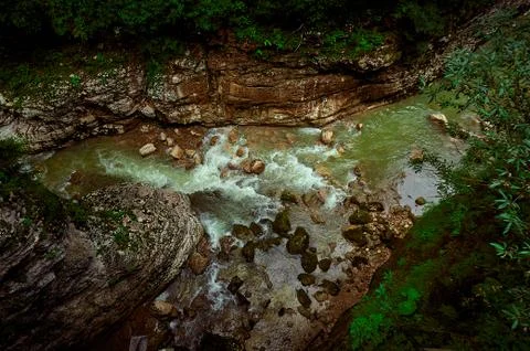 A river running through a forest Stock Photos