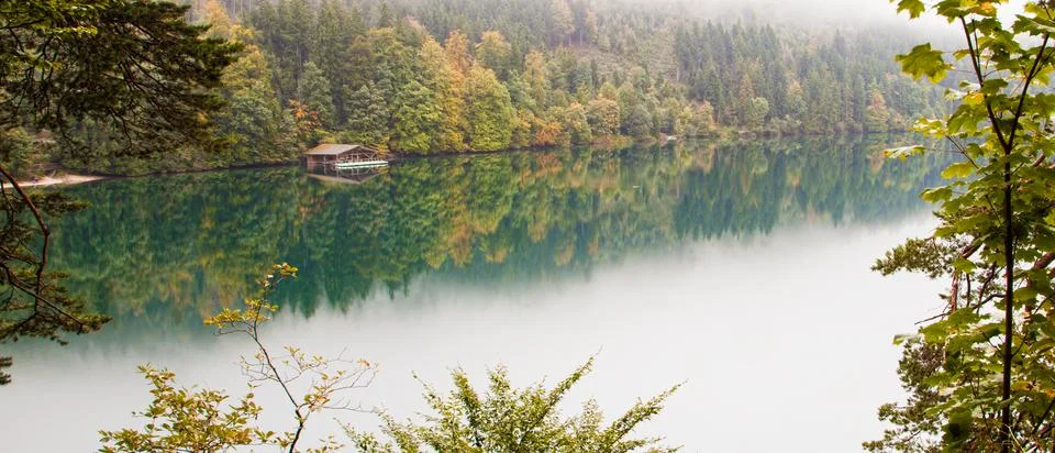 A river running through a forest Foto stock