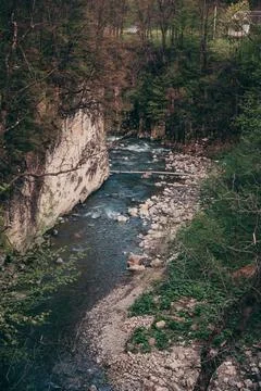 A river running through a forest Stock Photos