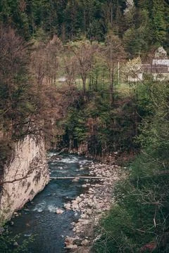 A river running through a forest Stock Photos