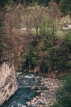 A river running through a forest Stock Photos