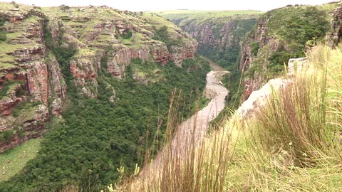 River running through a gorge in the Wild Coast of the Eastern Cape Stock Footage 161803183