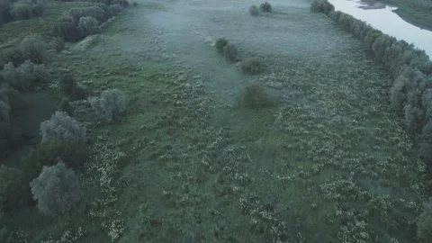 A river running through a lush green forest next to a forest covered in fog Stock Footage 227929281