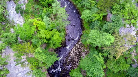 River Running Through Mountain Forest Stock Footage 64051457