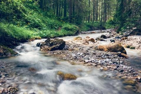 The River running through the mountain forests of Italian Dolomites Stock Photos