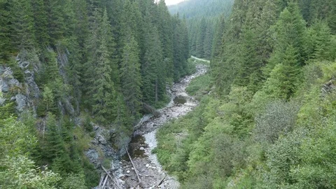 River Running Through The Mountain Valley Video stock 79749813