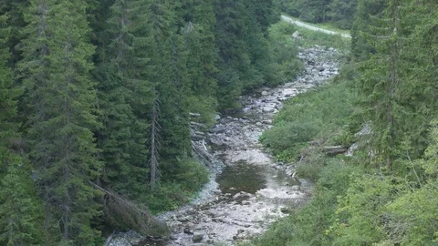 River Running Through The Mountain Valley Video stock 79749853