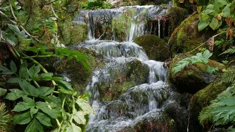 River Running Through The Mountain Valley 스톡 동영상 79749871